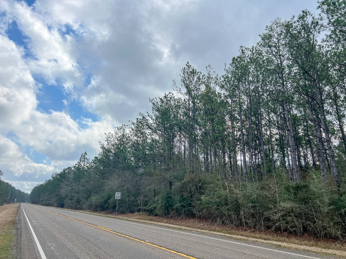 3 Fm 421 Kountze, TX 77625 - Photo 14 of 18 a view of a city street from a building