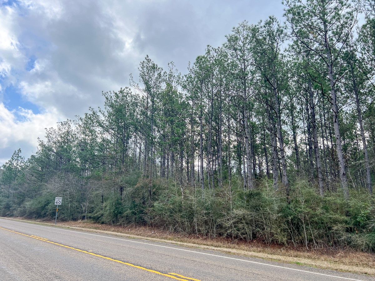 3 Fm 421 Kountze, TX 77625 - Photo 15 of 18 a view of a yard from a balcony