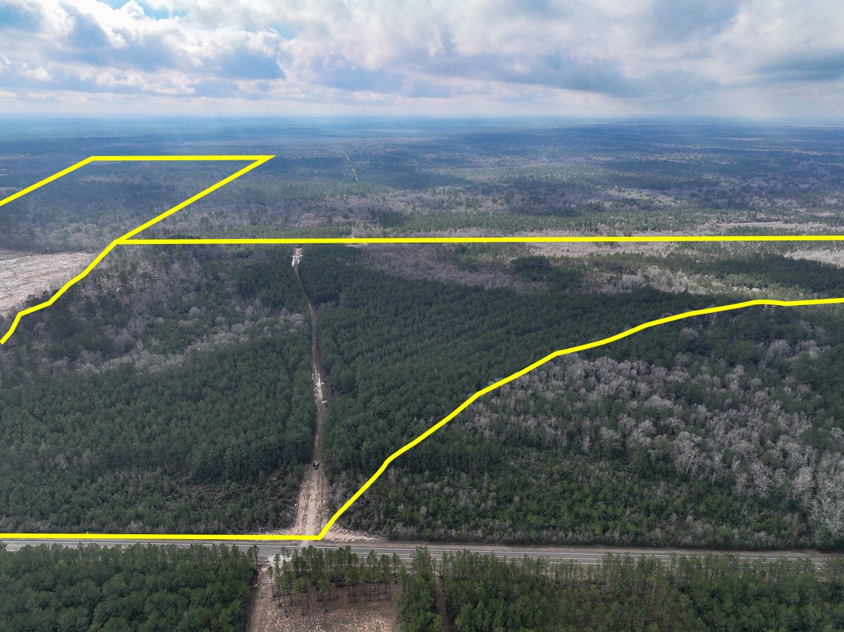 3 Fm 421 Kountze, TX 77625 - Photo 2 of 18 a view of swimming pool