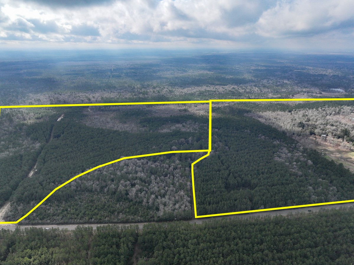 3 Fm 421 Kountze, TX 77625 - Photo 3 of 18 a view of swimming pool