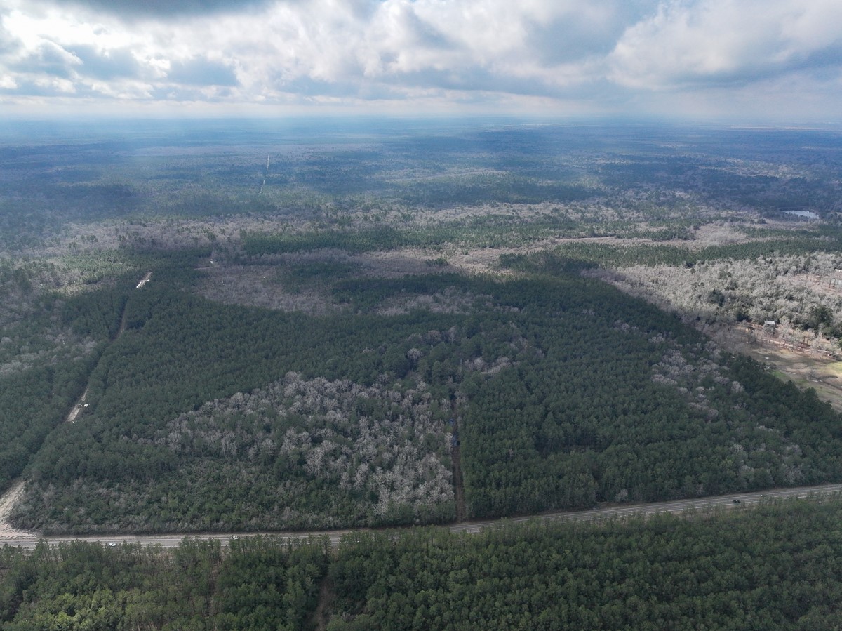 3 Fm 421 Kountze, TX 77625 - Photo 4 of 18 a view of a yard