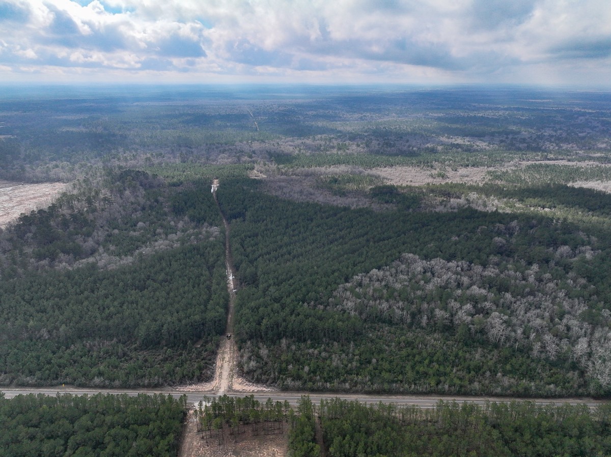 3 Fm 421 Kountze, TX 77625 - Photo 5 of 18 a view of a yard