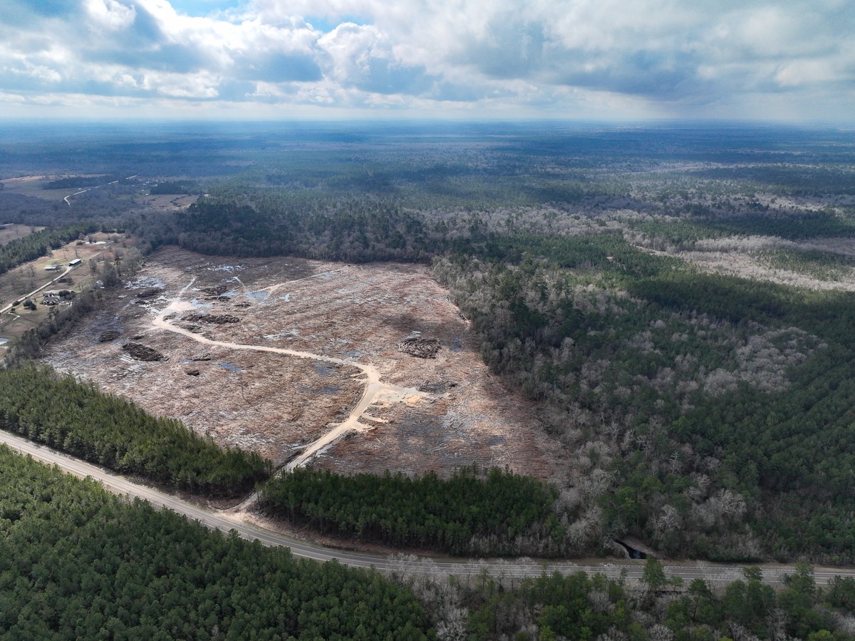 3 Fm 421 Kountze, TX 77625 - Photo 6 of 18 a view of a backyard of the house