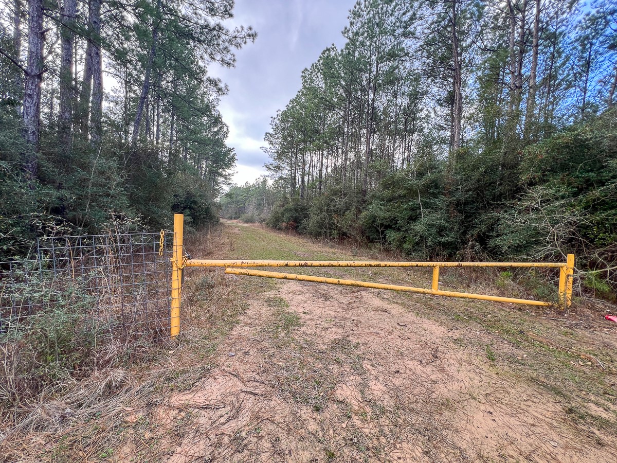 3 Fm 421 Kountze, TX 77625 - Photo 9 of 18 a view of a outdoor space