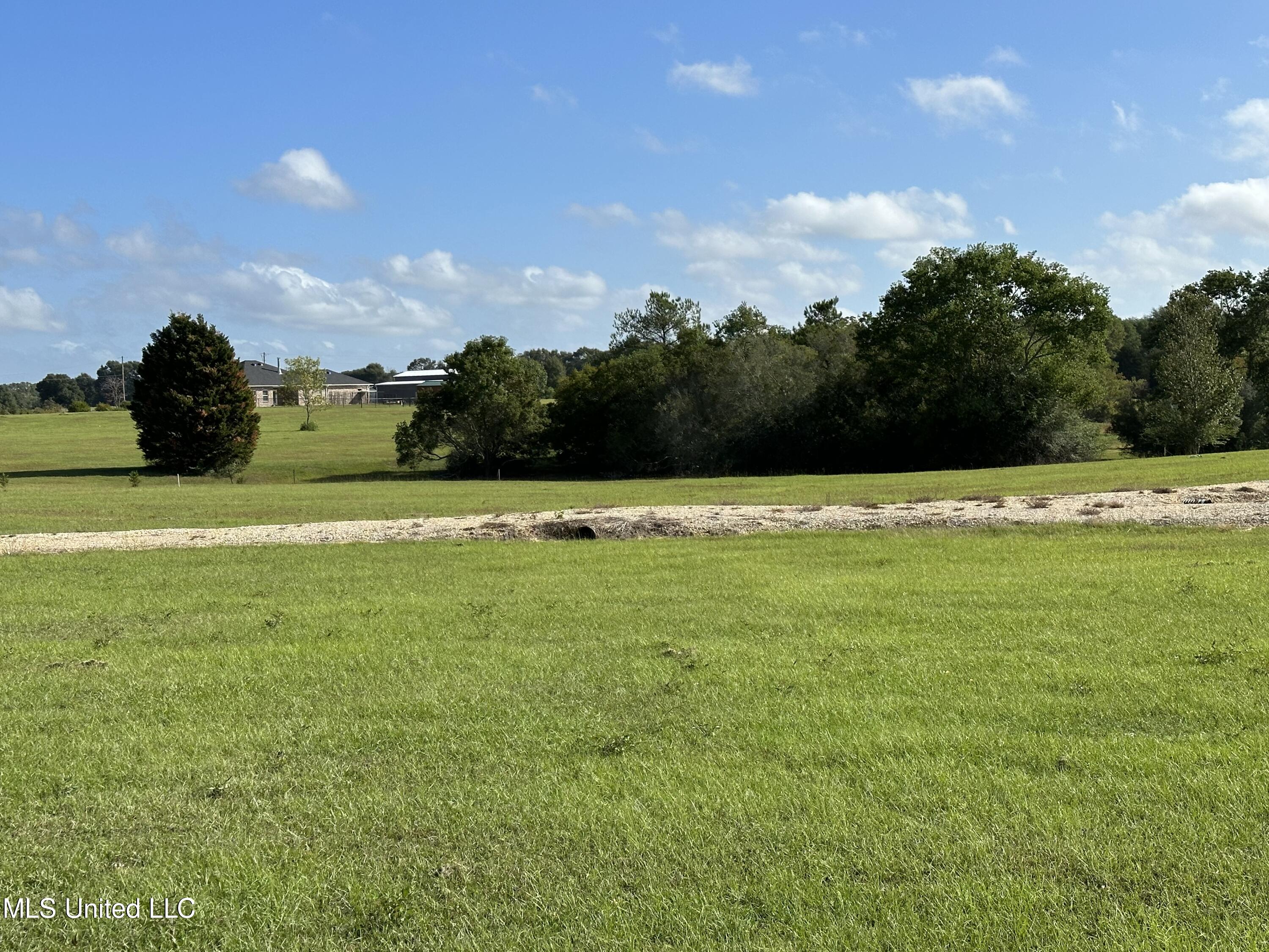 227 Progress Road Poplarville, MS 39470 - Photo 13 of 14 IMG_7390