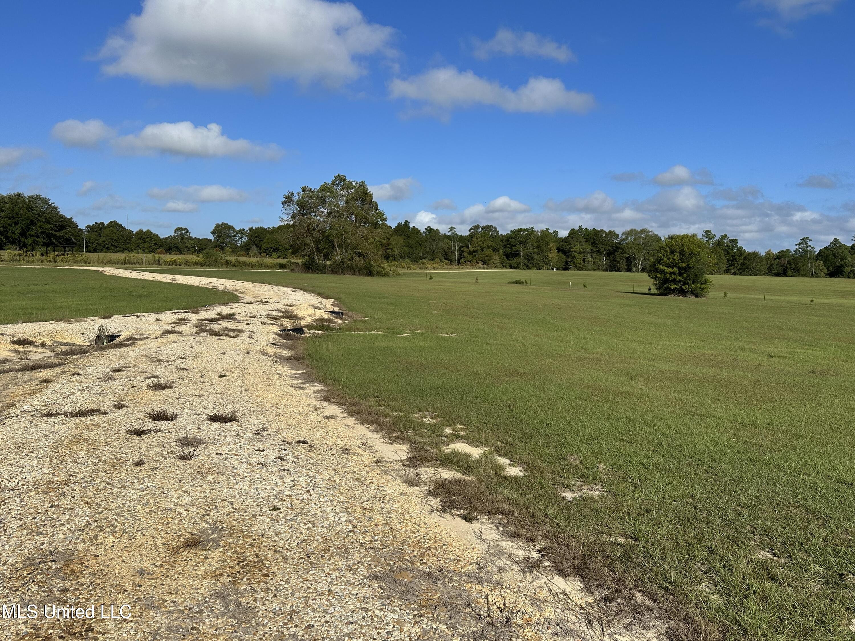 227 Progress Road Poplarville, MS 39470 - Photo 7 of 14 IMG_7384