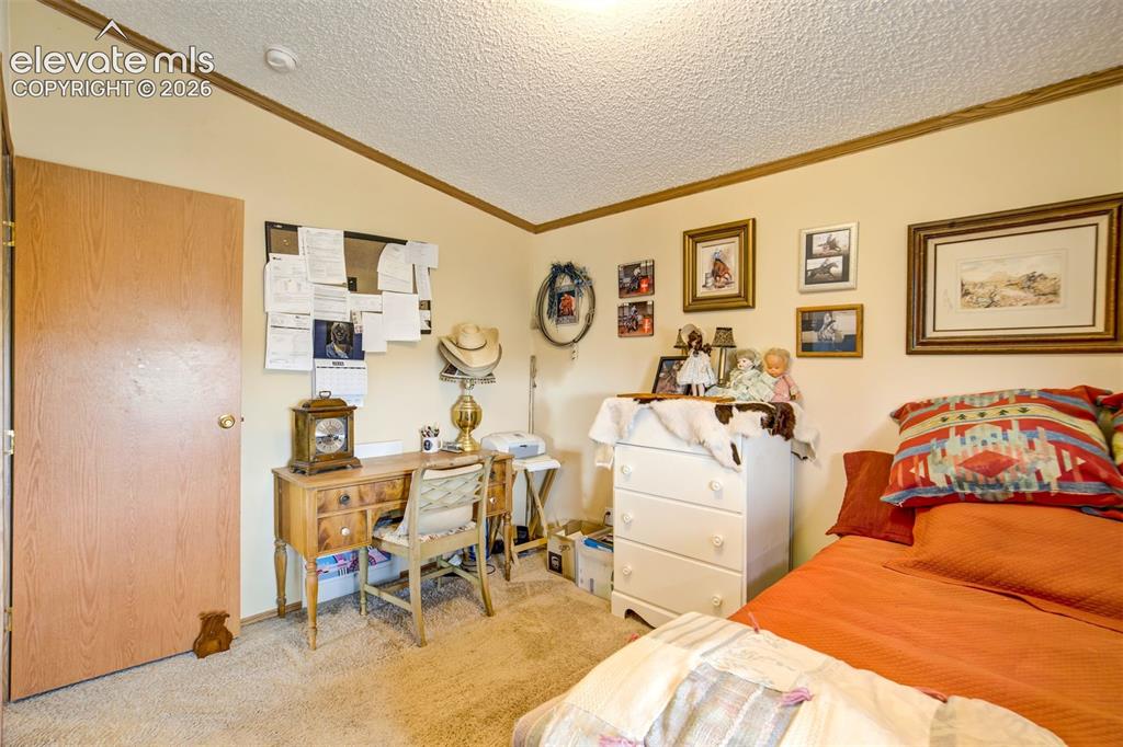 22120 McDaniels Road Calhan, CO 80808 - Photo 19 of 49