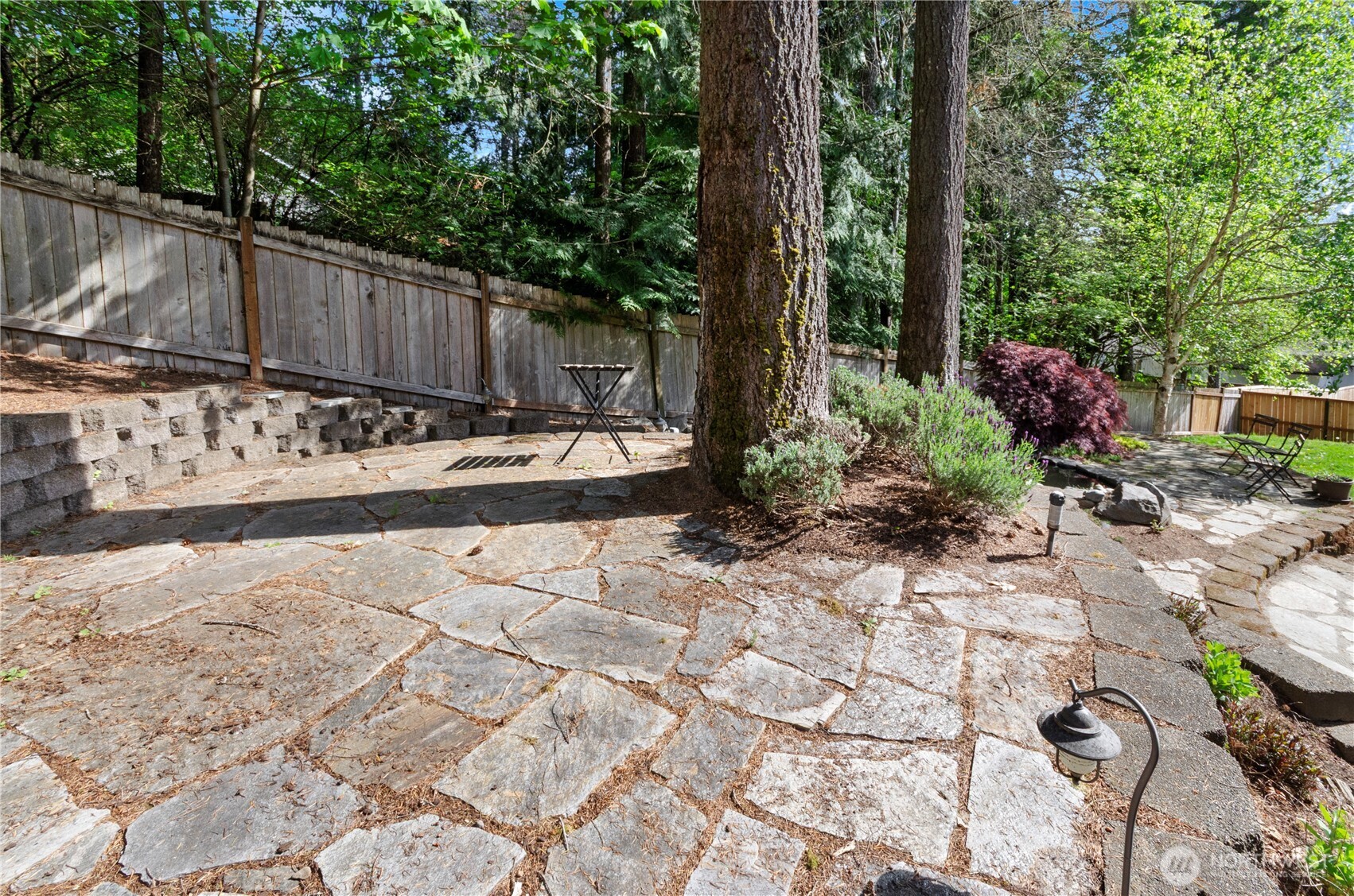 5214 78th Court Southwest Olympia, WA 98512 - Photo 20 of 27 a view of a backyard of the house