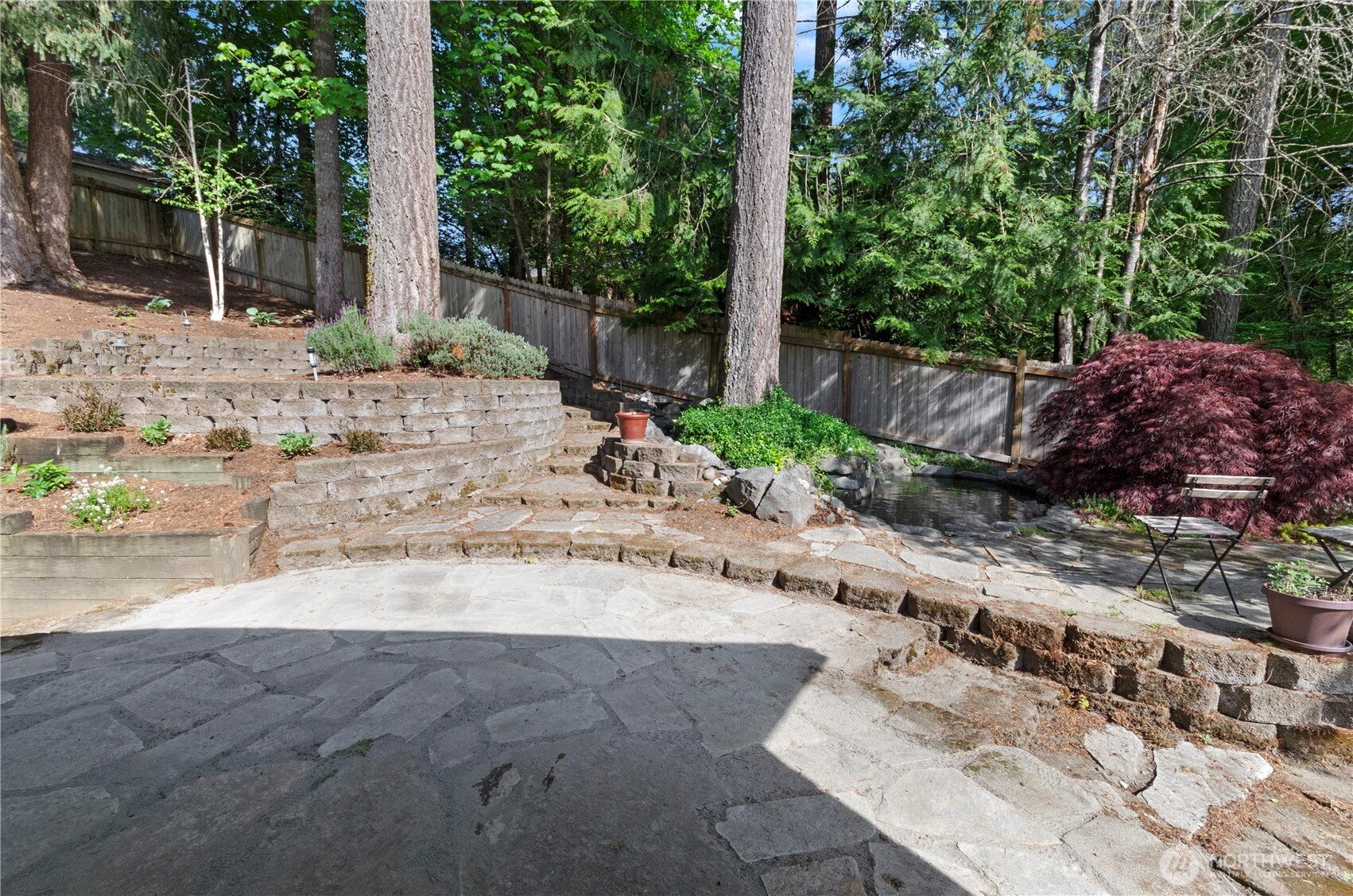 5214 78th Court Southwest Olympia, WA 98512 - Photo 22 of 27 a view of a yard with plants and large trees