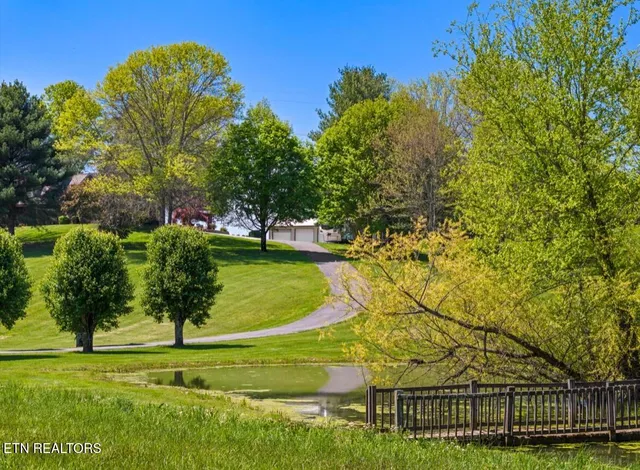 $1,300,000 | 2041 Witt Road, White Pine, TN 37890