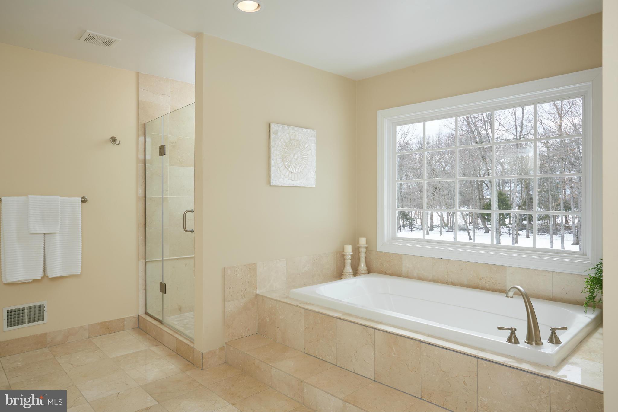 12636 Greenbriar Road Potomac, MD 20854 - Photo 18 of 30 a bathroom with a bathtub and a shower