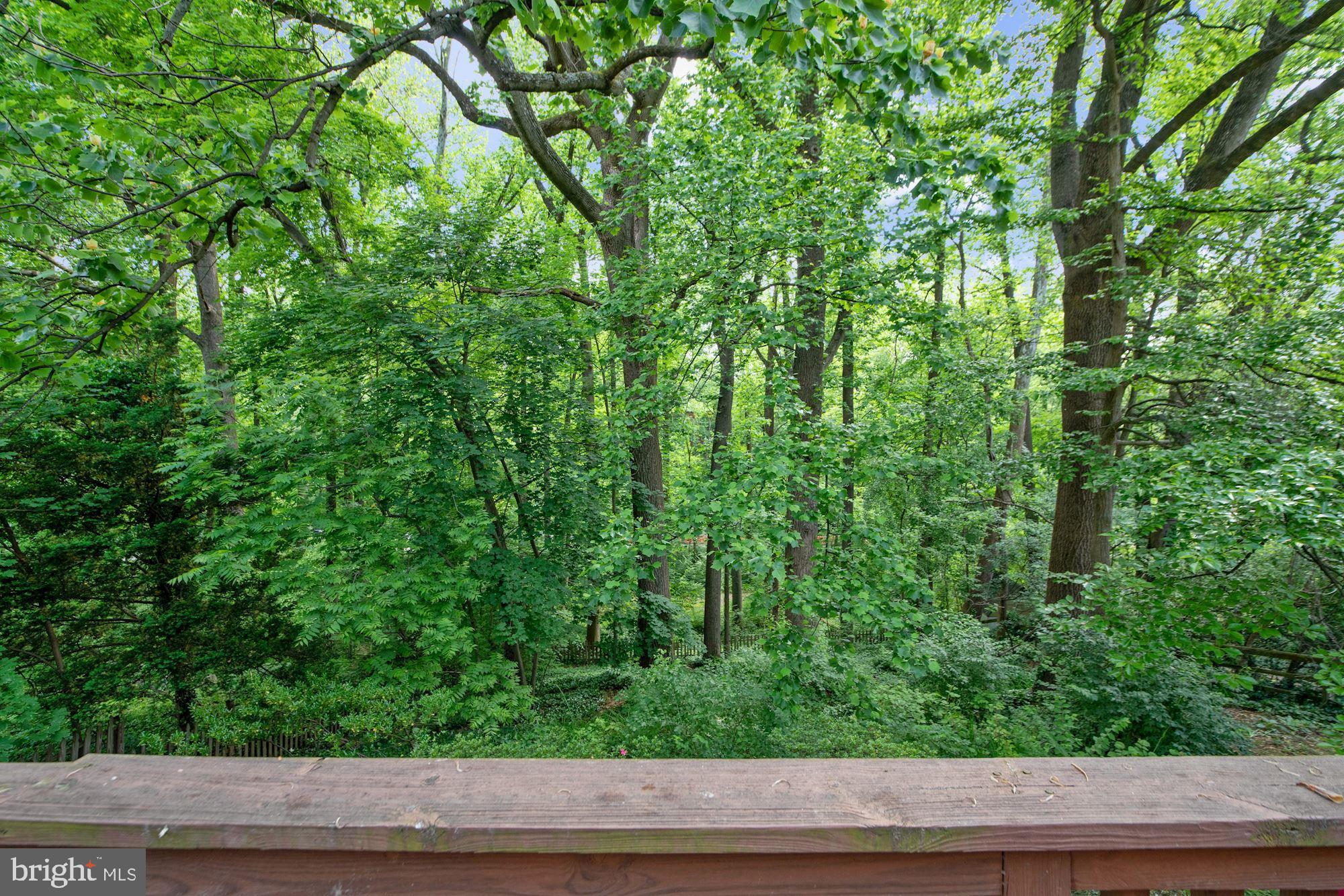 307 Windsor Street Silver Spring, MD 20910 - Photo 24 of 29 Gallery Image 24