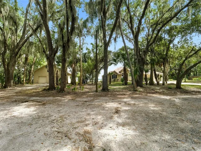 a view of road with trees