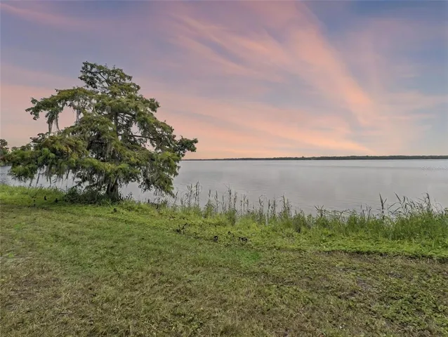 a view of a field with an ocean