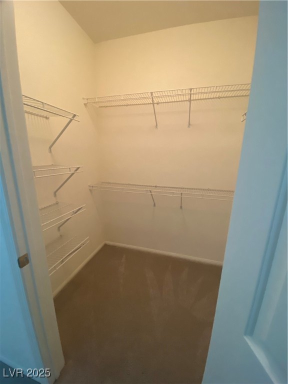 1300 Red Gable Lane, Unit 103 Las Vegas, NV 89144 - Photo 18 of 26 Walk in closet