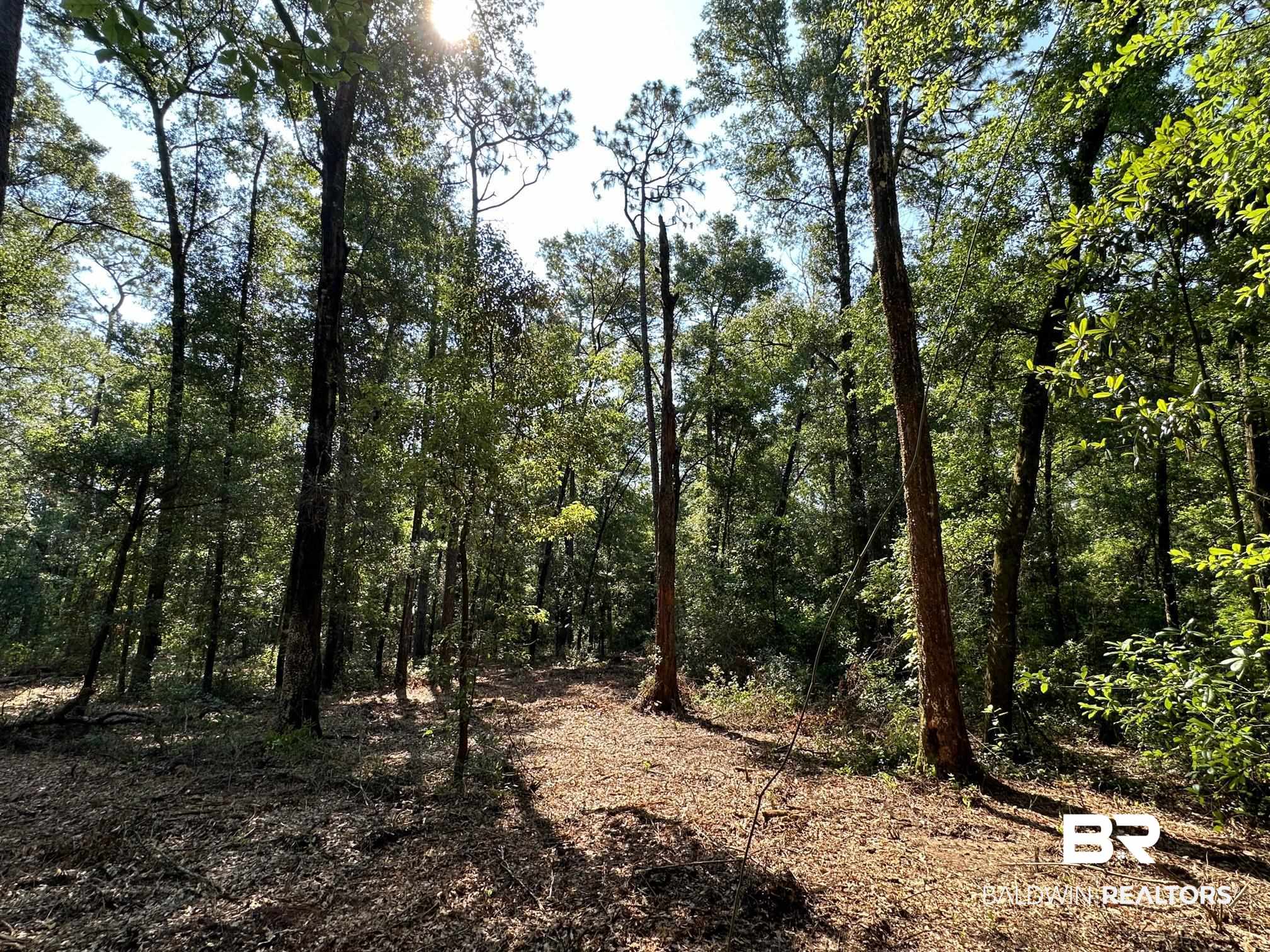 14268 State Highway Silverhill, AL 36576 - Photo 6 of 17