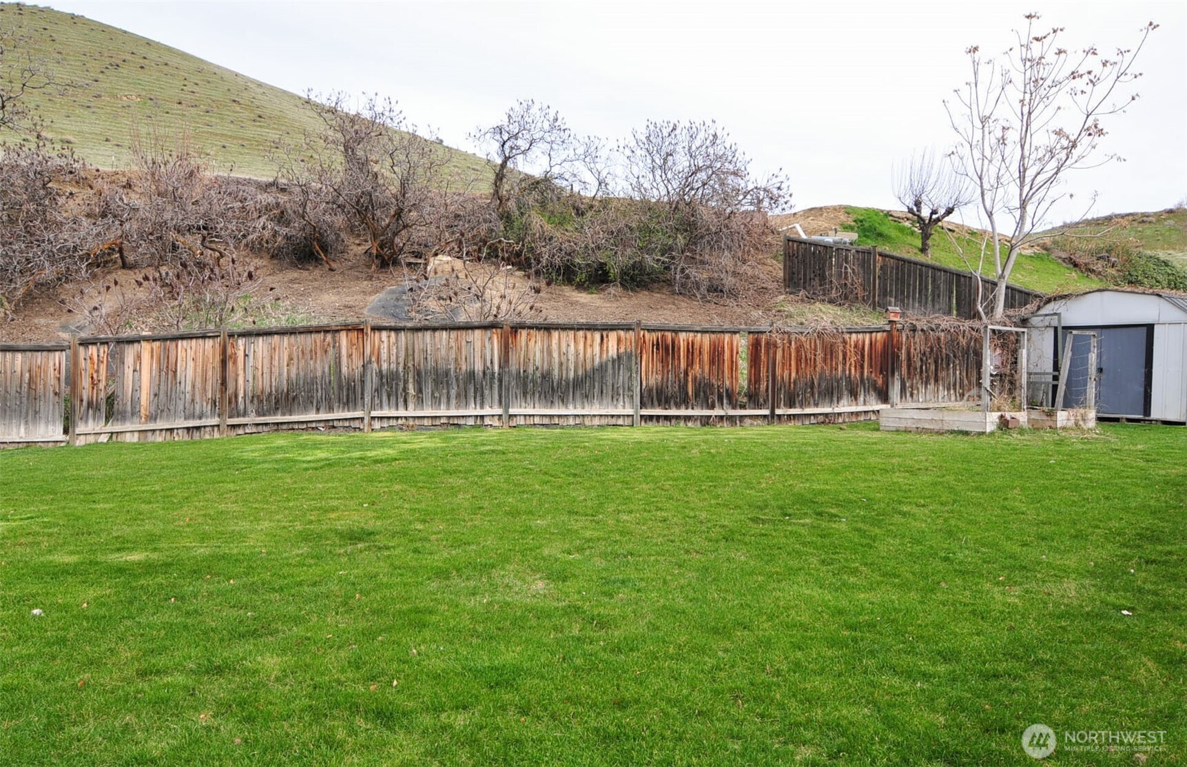 1698 Sunset Drive Wenatchee, WA 98801 - Photo 19 of 22 a view of a yard with a fence and trees