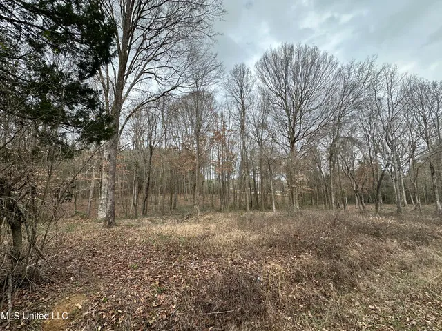 $40,000 | 0 Futch Road, Forest, MS 39074