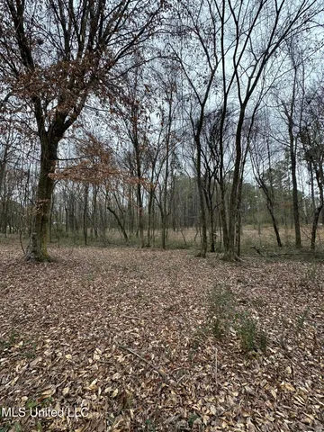 $40,000 | 0 Futch Road, Forest, MS 39074