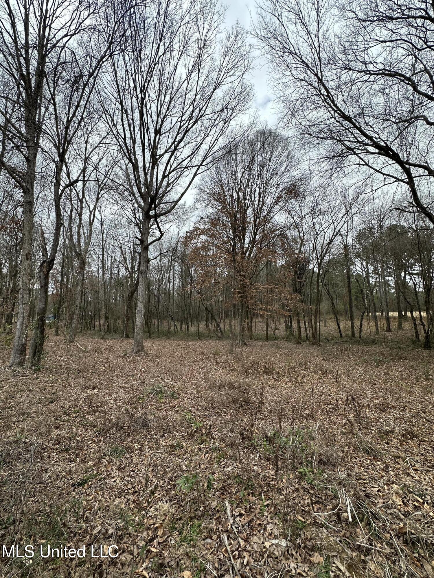 0 Futch Road Forest, MS 39074 - Photo 14 of 16 Photo Feb 05 2025, 2 42 24 PM