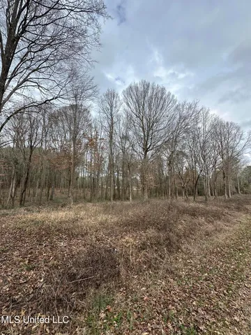 $40,000 | 0 Futch Road, Forest, MS 39074