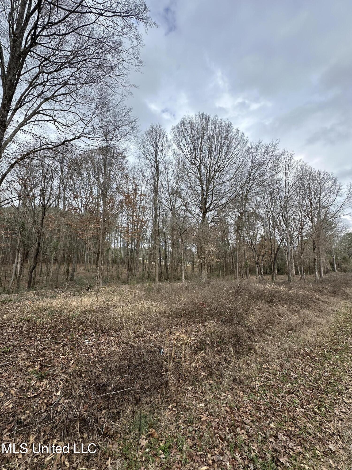 0 Futch Road Forest, MS 39074 - Photo 3 of 16 Photo Feb 05 2025, 2 34 43 PM