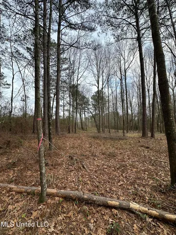 $40,000 | 0 Futch Road, Forest, MS 39074