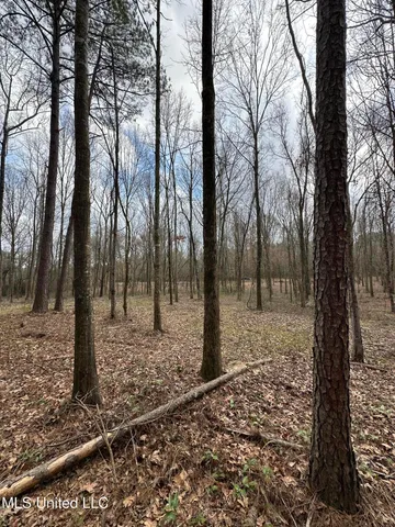 $40,000 | 0 Futch Road, Forest, MS 39074