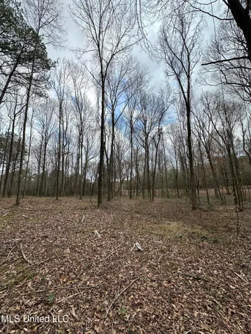 $40,000 | 0 Futch Road, Forest, MS 39074