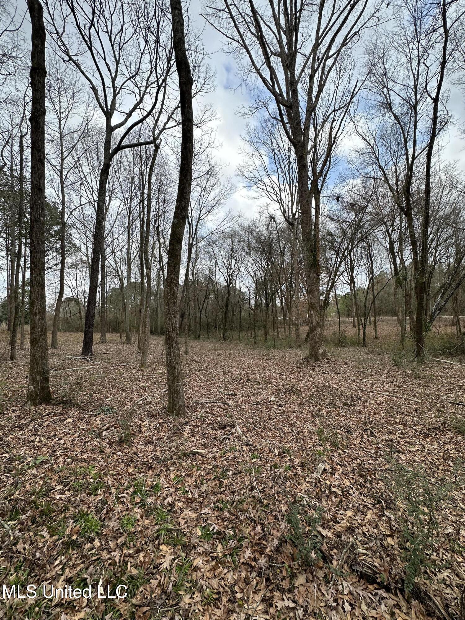 0 Futch Road Forest, MS 39074 - Photo 10 of 16 Photo Feb 05 2025, 2 38 45 PM