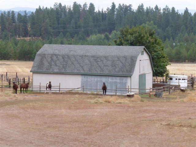 18710 North Division Road Colbert, WA 99005 - Photo 2 of 20