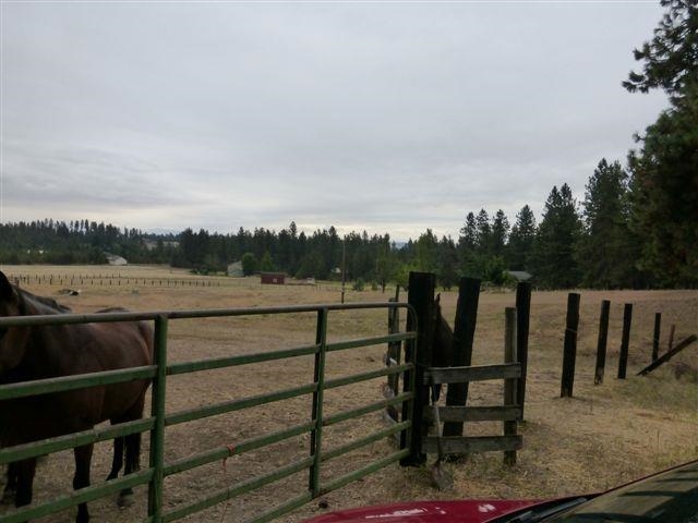 18710 North Division Road Colbert, WA 99005 - Photo 12 of 20