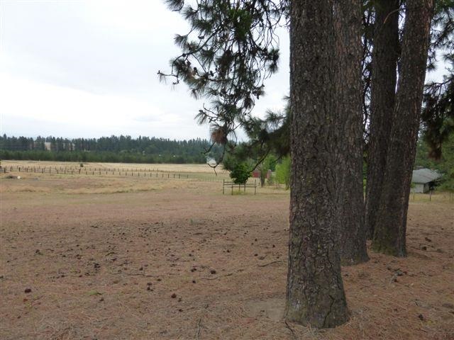18710 North Division Road Colbert, WA 99005 - Photo 13 of 20