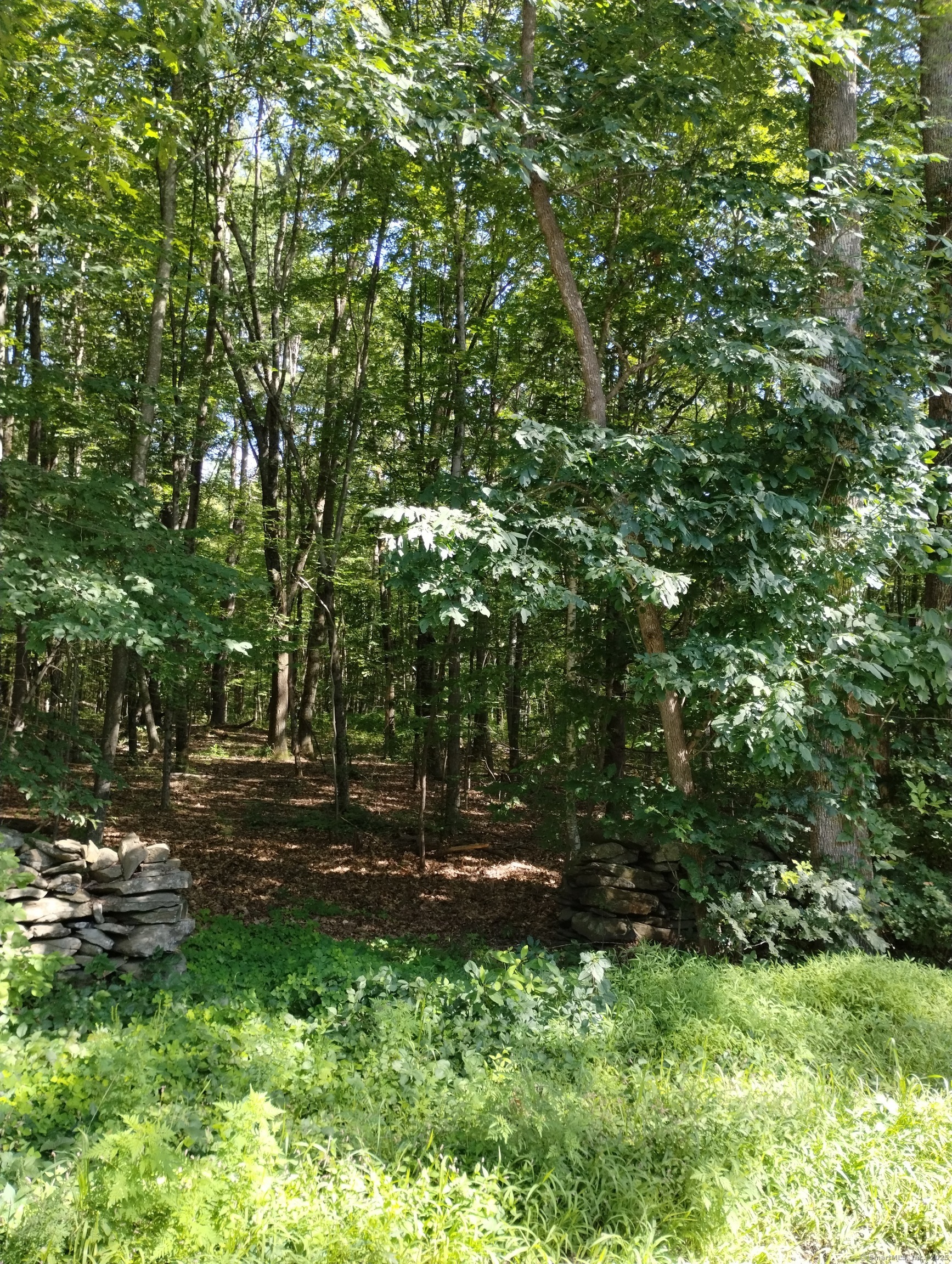 0 Joy Road Woodstock, CT 06281 - Photo 1 of 1 Gallery Image 1