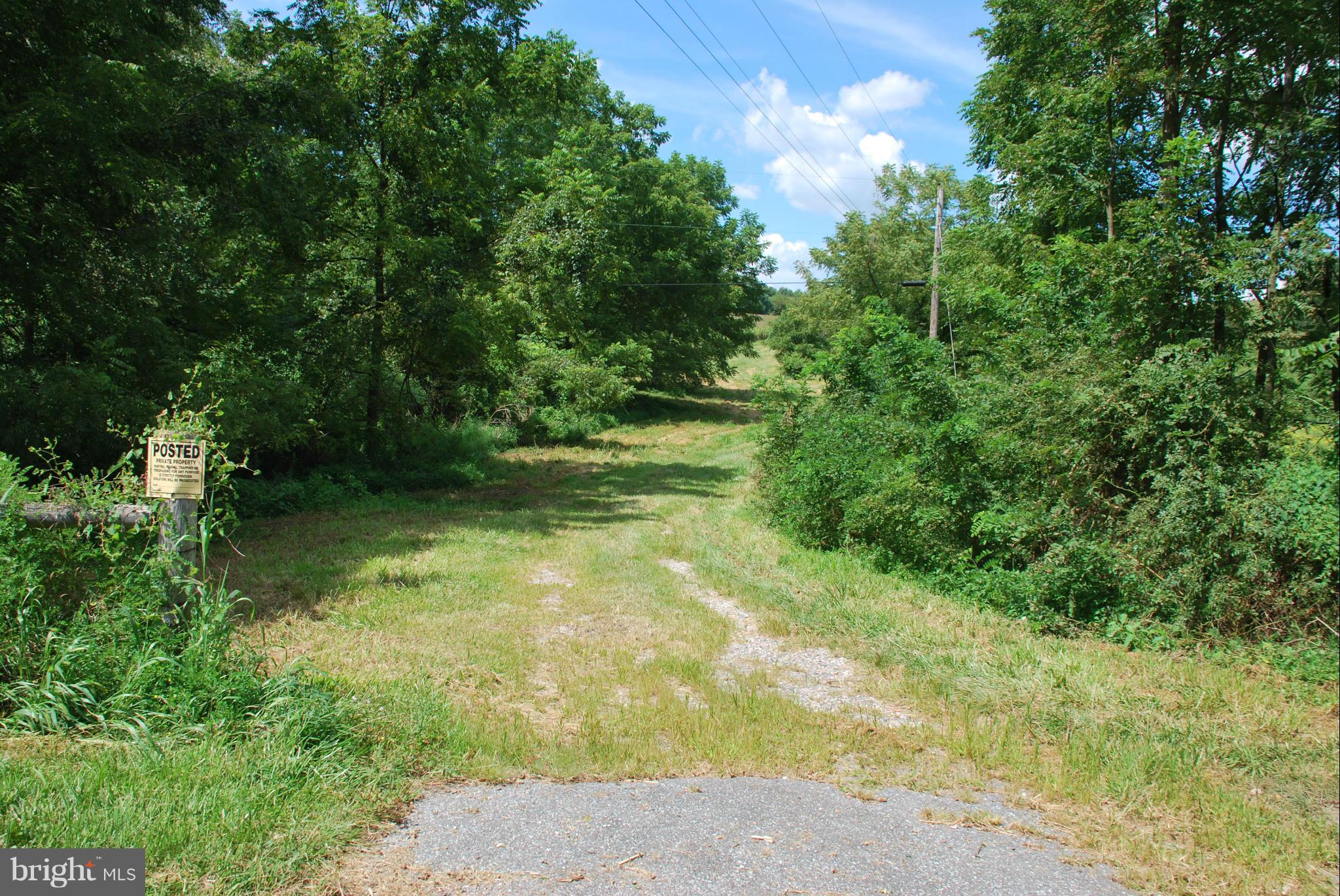 Hoff Rd Union Bridge Union Bridge, MD 21791 - Photo 1 of 7 a view of yard with green space