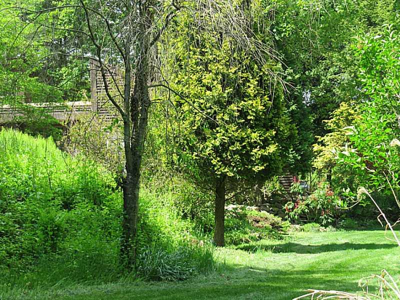 250 Slippery Rock Road Slippery Rock, PA 16057 - Photo 19 of 23 Yard/Garden.
