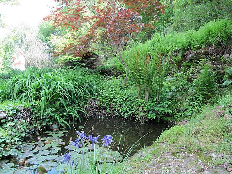 250 Slippery Rock Road Slippery Rock, PA 16057 - Photo 20 of 23 Yard/Garden.