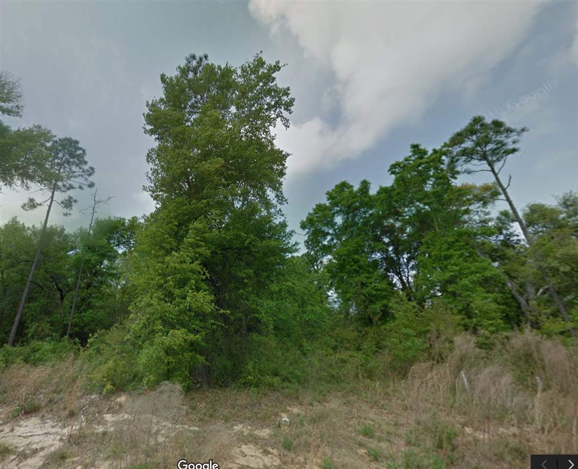 8375 Winding River Drive Foley, AL 36535 - Photo 1 of 1