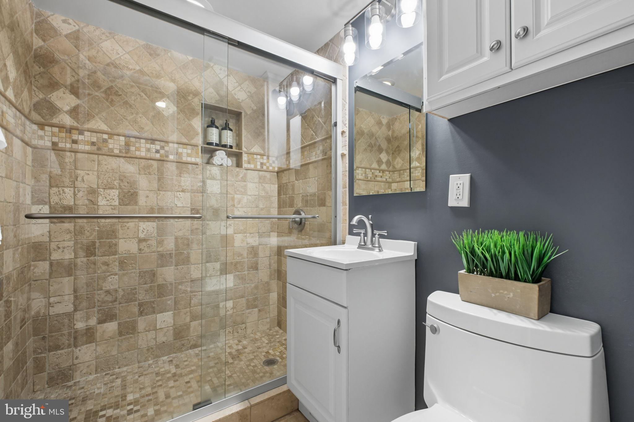 1669 Columbia Road Northwest, Unit 203 Washington, DC 20009 - Photo 14 of 18 a bathroom with a sink a toilet and shower