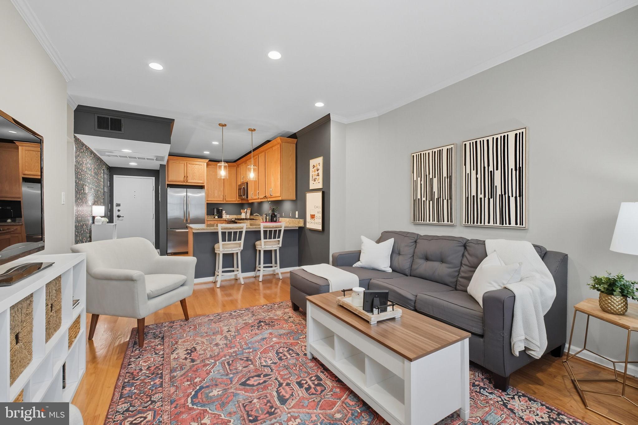 1669 Columbia Road Northwest, Unit 203 Washington, DC 20009 - Photo 9 of 18 a living room with furniture and a rug
