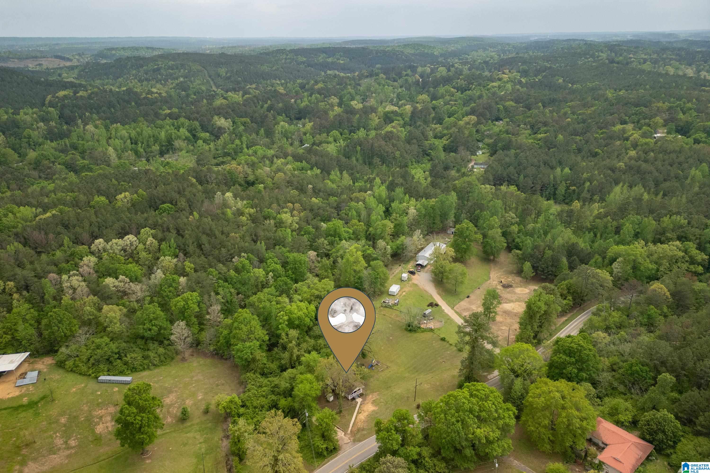 5781 Mud Creek Road Adger, AL 35006 - Photo 29 of 36