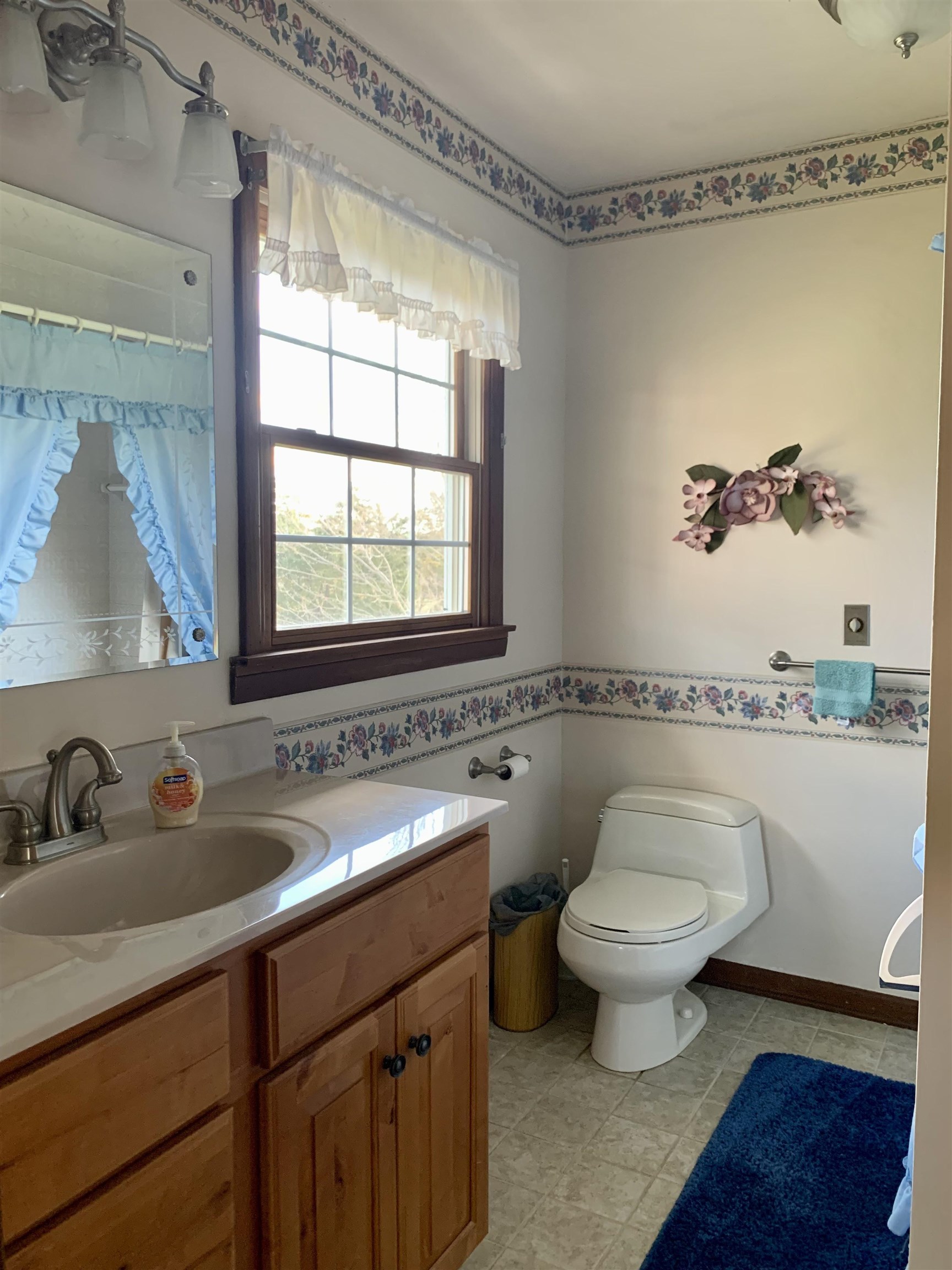 6569 South Speer Road Hanover, IL 61041 - Photo 17 of 59 a bathroom with a sink and a mirror