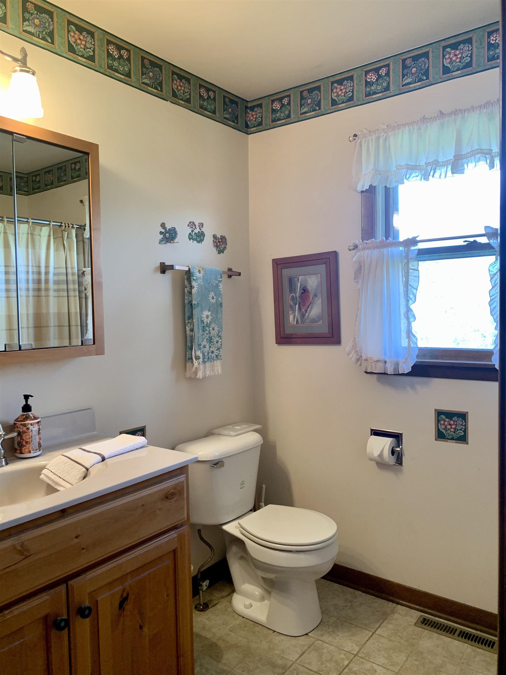 6569 South Speer Road Hanover, IL 61041 - Photo 20 of 59 a bathroom with a toilet a sink and a mirror