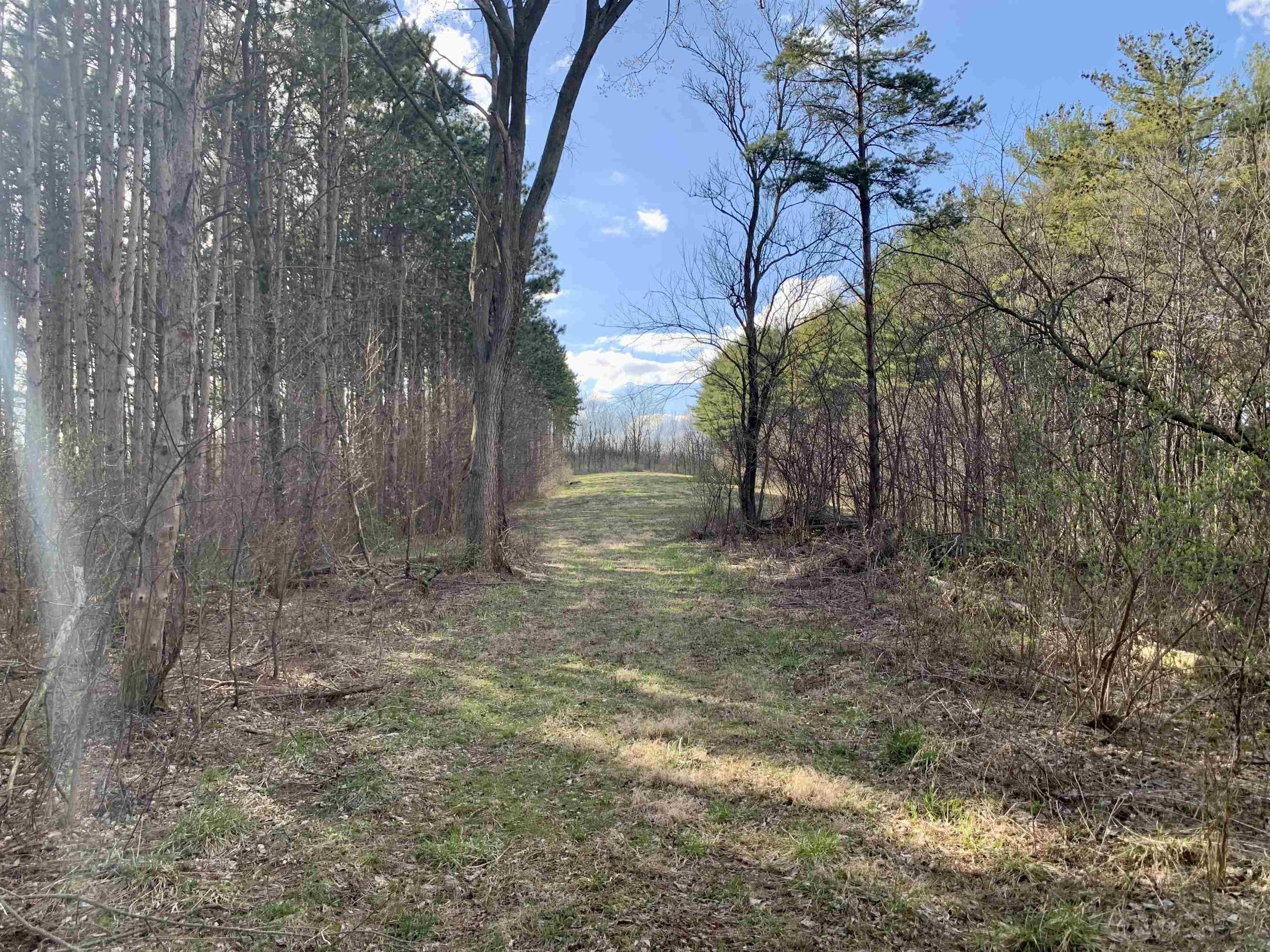 6569 South Speer Road Hanover, IL 61041 - Photo 29 of 59 a view of a yard with trees