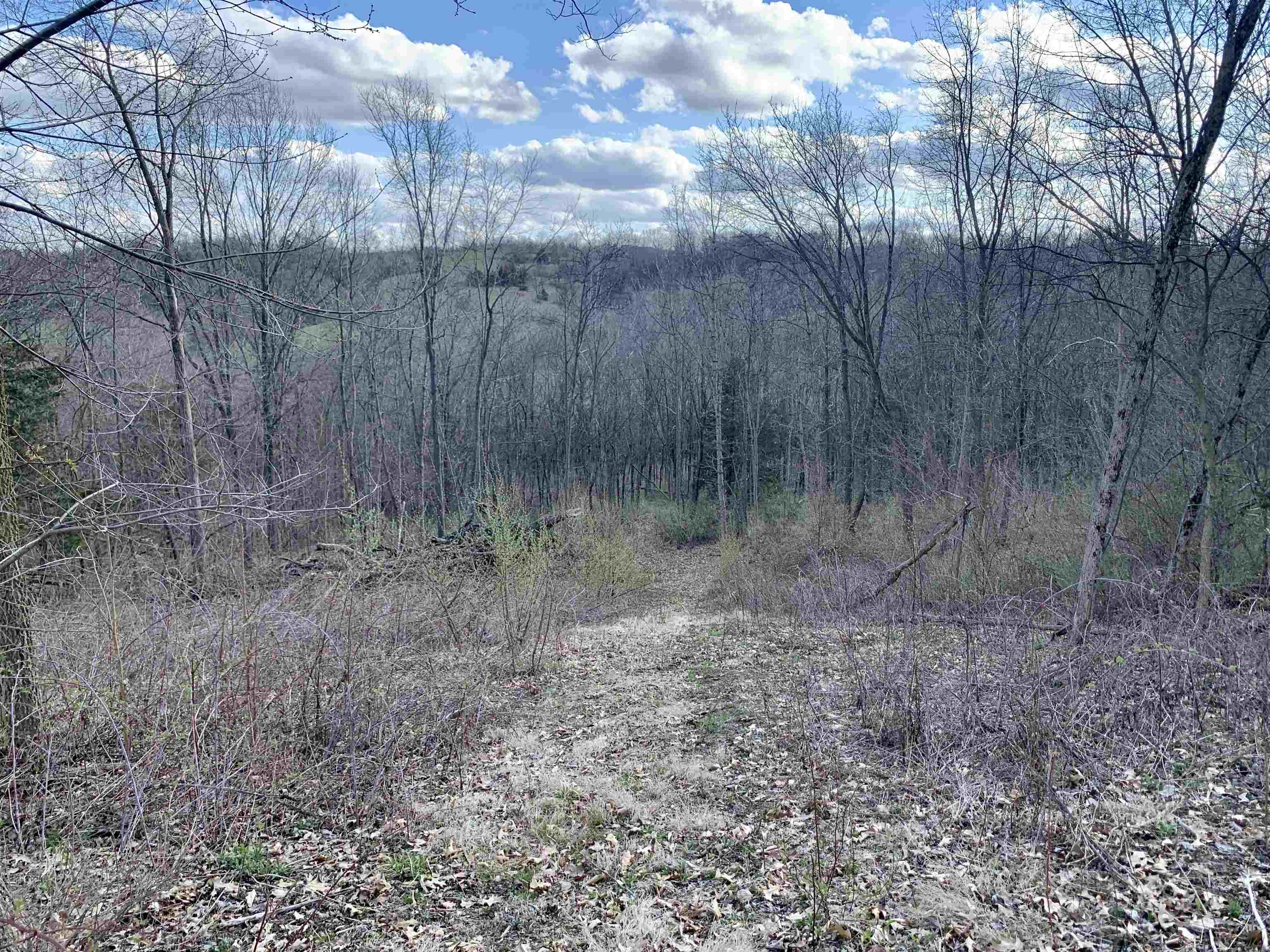 6569 South Speer Road Hanover, IL 61041 - Photo 36 of 59 a view of a yard with trees in the background
