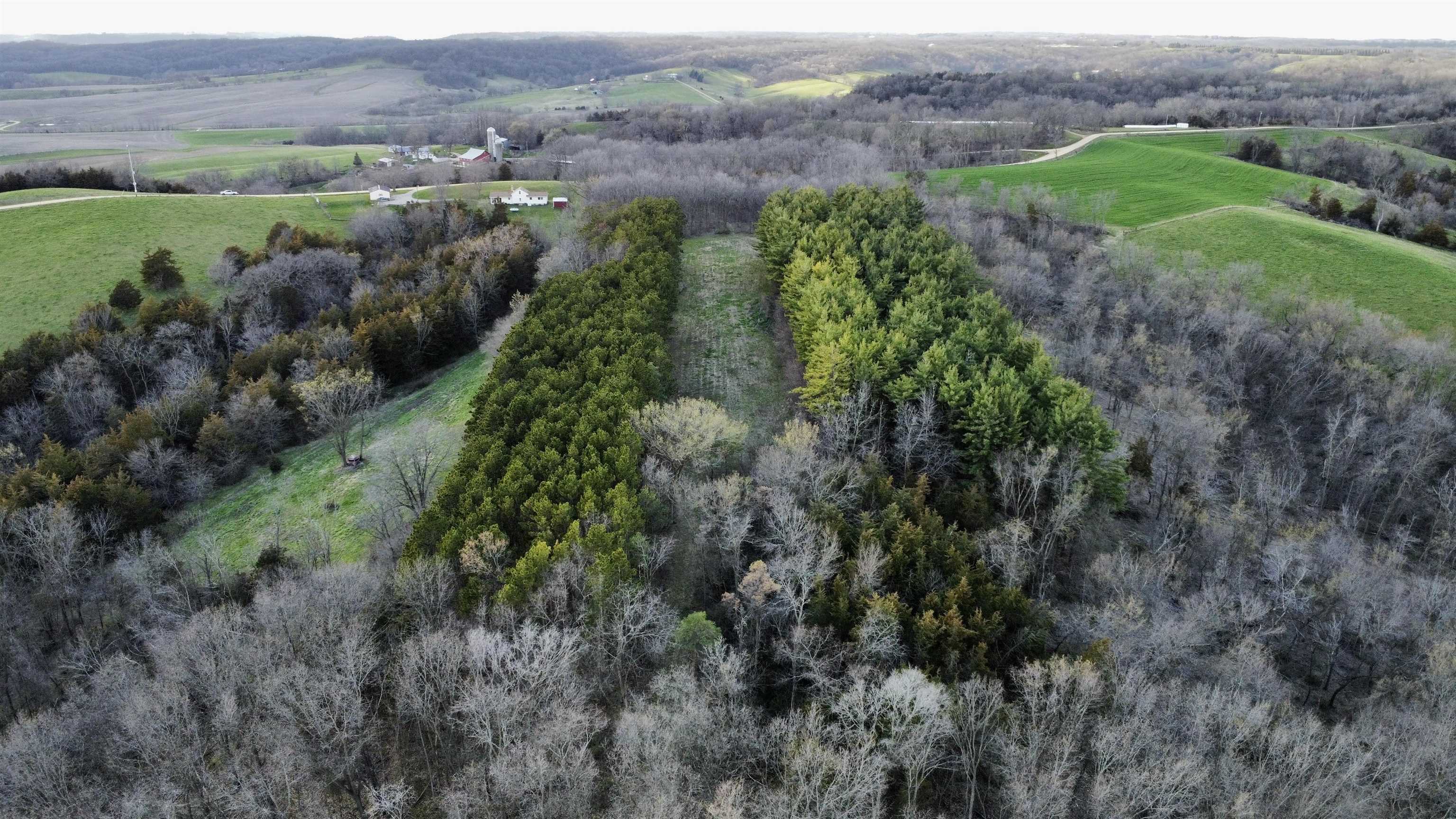6569 South Speer Road Hanover, IL 61041 - Photo 39 of 59 an aerial view of greenery