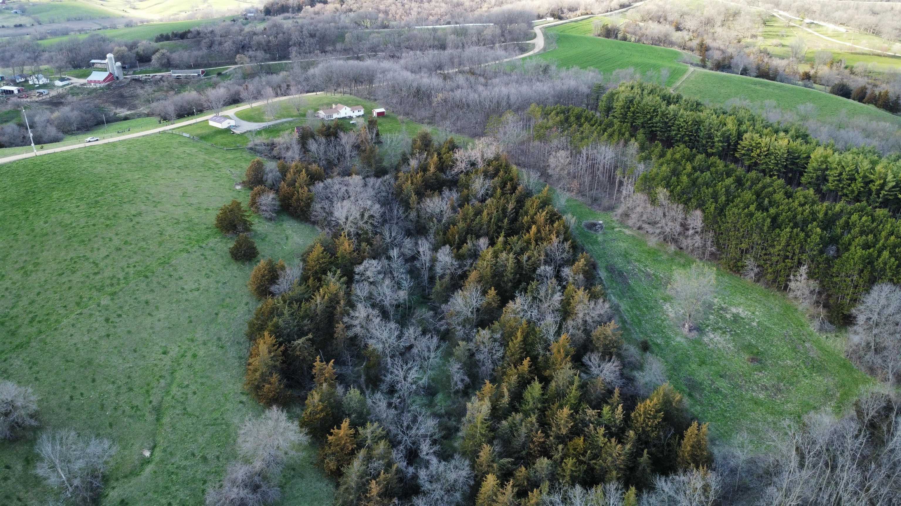 6569 South Speer Road Hanover, IL 61041 - Photo 45 of 59 a view of a garden with a tree