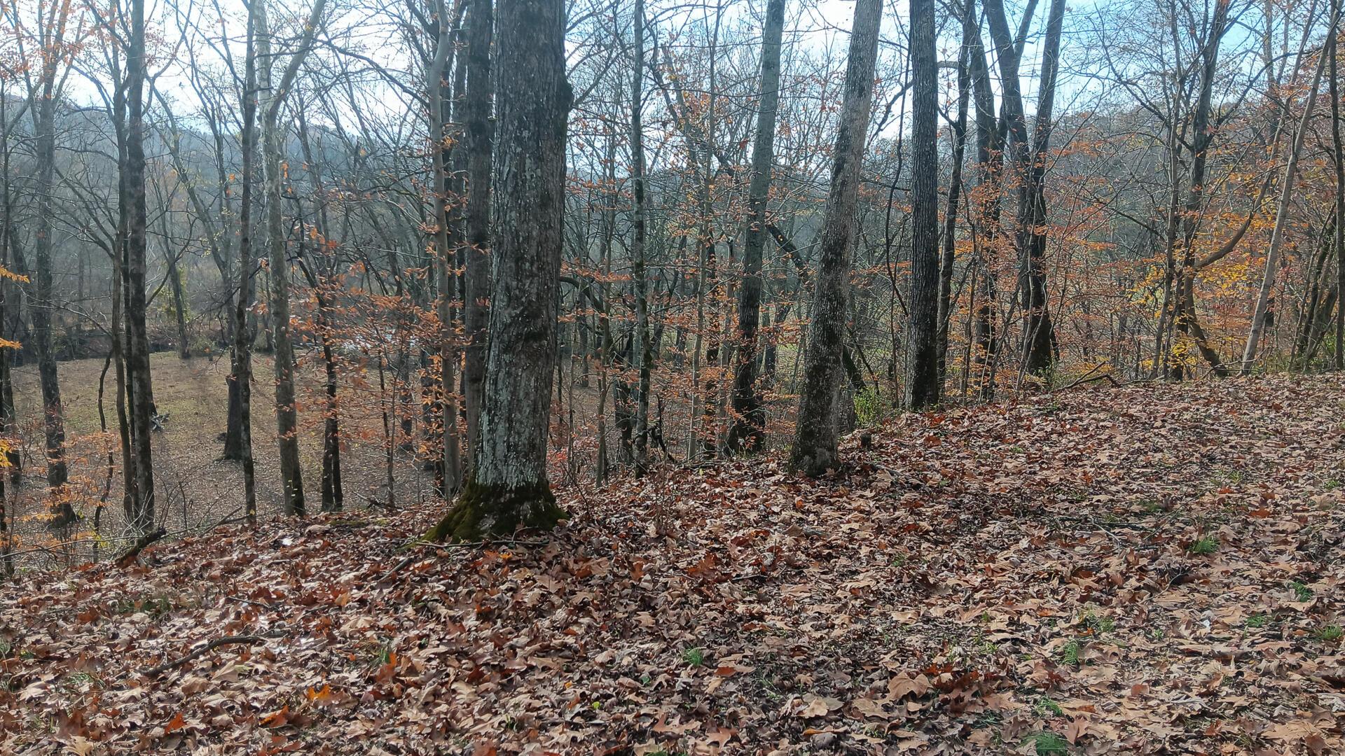 0 Keystone Road, Unit CREEKVIEW CABIN) Vinton, OH 45686 - Photo 55 of 95 CT-55