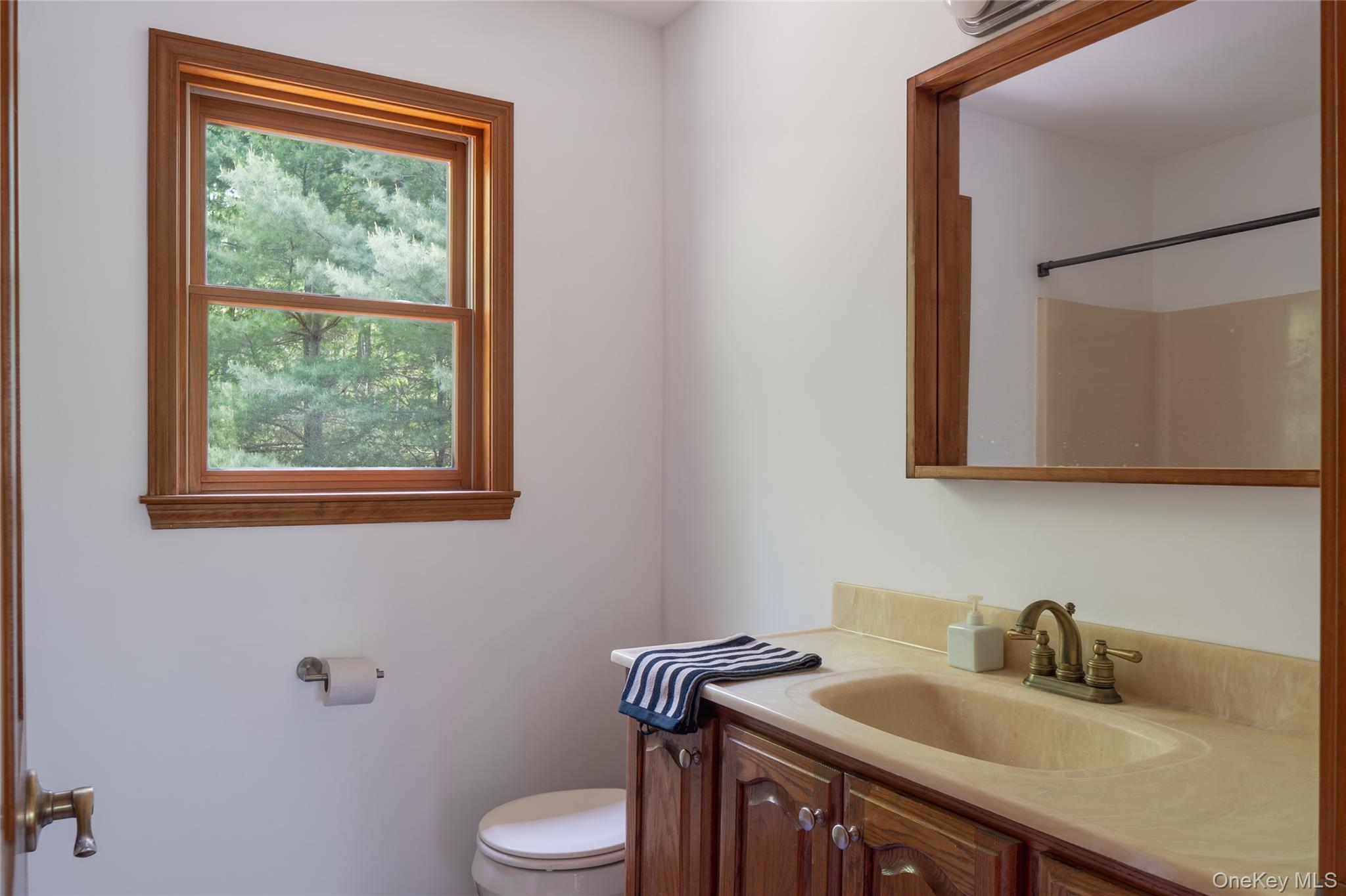 182 Frey Road Pine Bush, NY 12566 - Photo 19 of 33 a bathroom with a granite countertop sink and a mirror