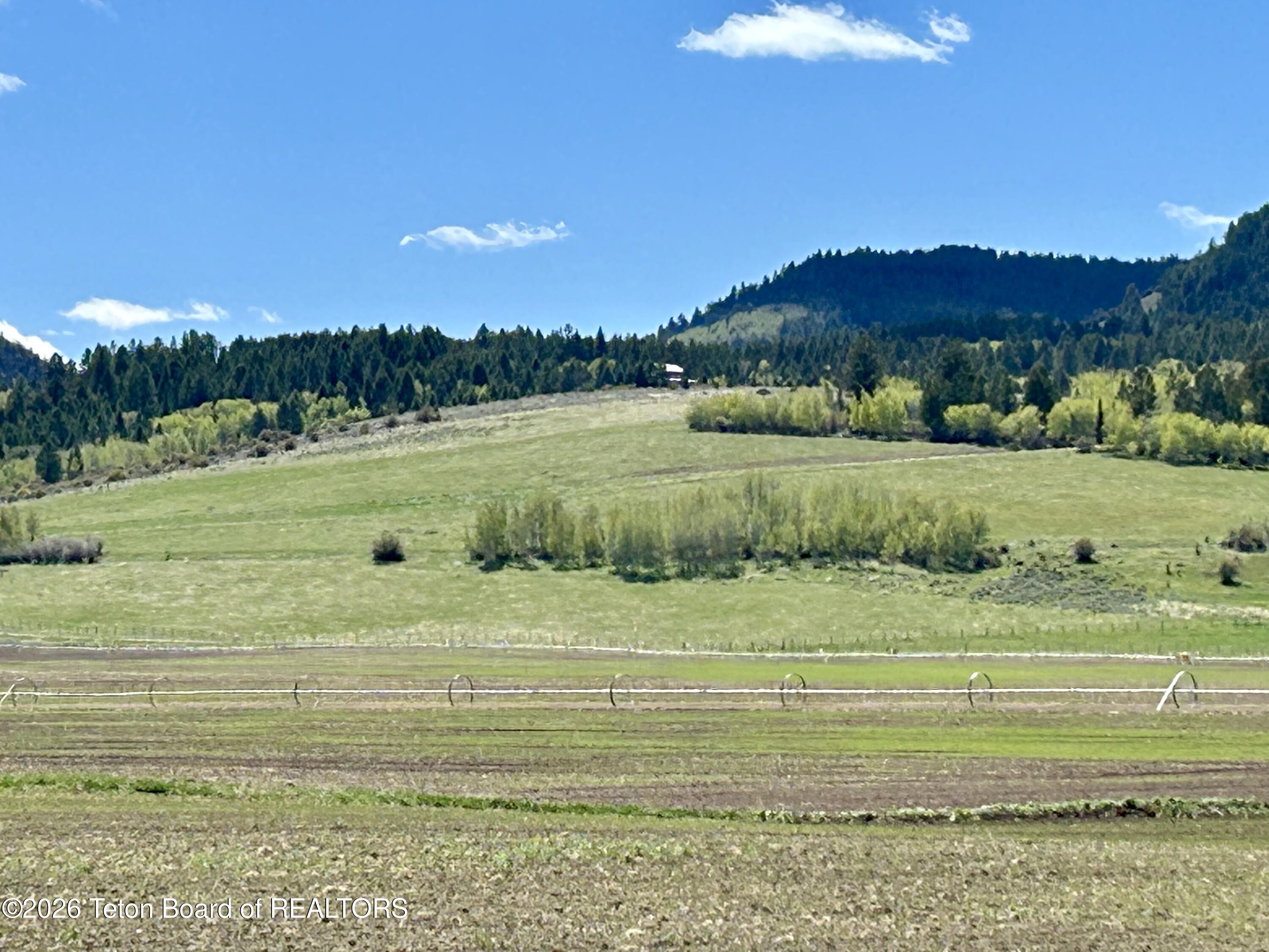 8643 Inglin Ridge Road Tetonia, ID 83452 - Photo 2 of 3 IMG_3777